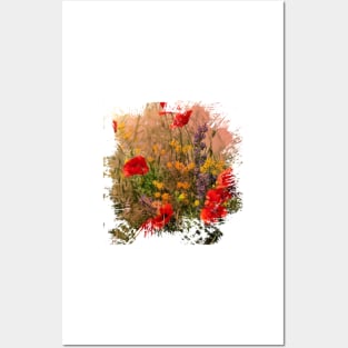 Red poppy. Wildflowers Posters and Art